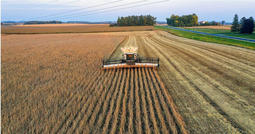 台灣承諾在未來4至5年間投入數十億美元，向美方採購大豆、玉米及其他主要農產品。（示意圖／翻攝自pexels）