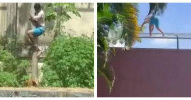 事發當天，19歲男子馬查多翻越高牆並從樹上滑入獅舍，遭母獅「莉奧娜」攻擊身亡。（圖／翻攝自X，X@CPreparado）