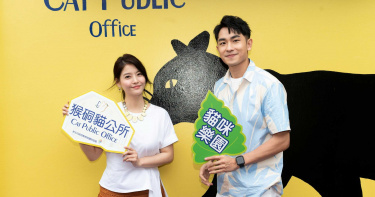 王樂妍砸30萬打造貓城堡 陳謙文為愛貓提親