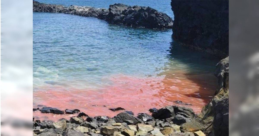 澎湖七美臥牛灣，繼去年後，3日早再見珊瑚產卵的粉紅派對美景，這也是澎湖今年第一筆紀錄。（圖／七美報報提供）