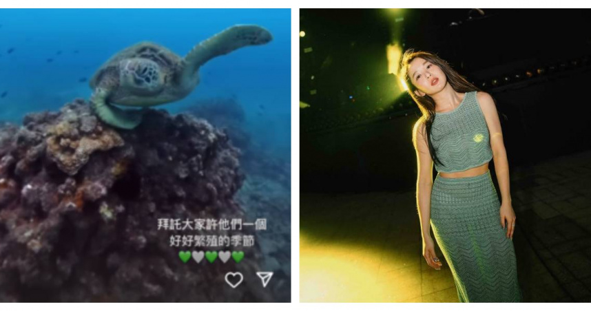 郭書瑤浮潛時拍下海龜悠游的畫面，並提醒大家珍惜生態環境。（圖／翻攝自Instagram）