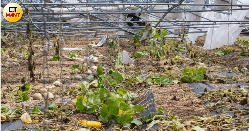 農損問題在極端氣候的社會中必須正視。（示意圖／黃威彬攝）