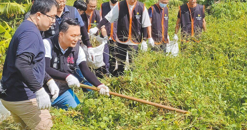 桃園市副市長蘇俊賓（左二）動手清除小花蔓澤蘭，鼓勵社區共同參與。（圖／中國時報呂筱蟬攝）