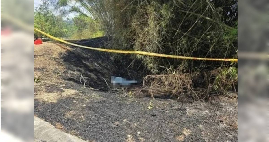 猴群沒趕跑先送命！田寮嬤放沖天炮驅猴釀火海　跌落土坑遭活活燒死