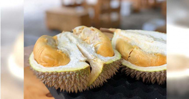 榴槤海上漂 民眾瘋撈搶食…當晚集體腹痛中毒送醫