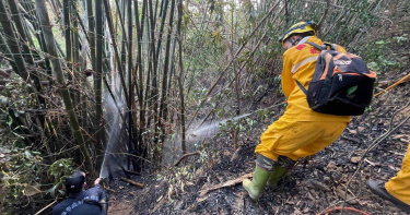 獼猴偷吃供奉神明水果 大叔怒放沖天炮驅趕意外引發山林大火