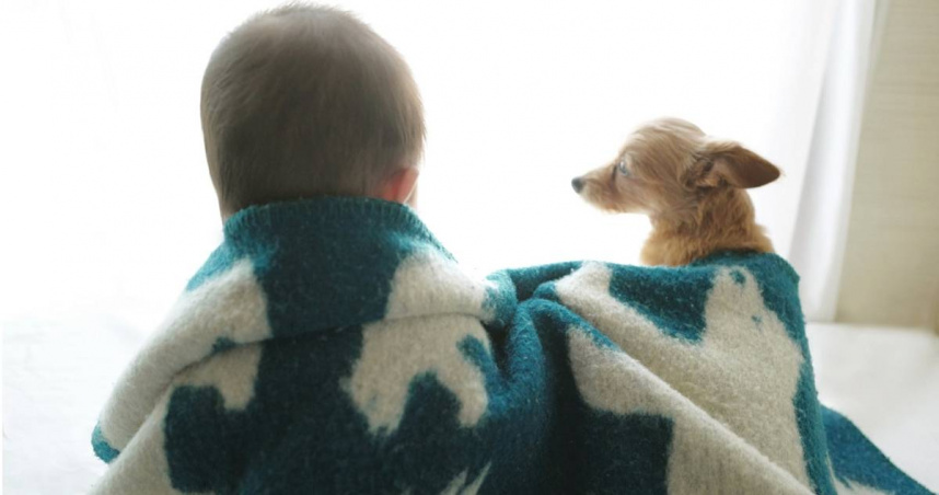 日本專門研究睡眠的醫師中山明峰曾分享「三明治」棉被蓋法，能有效保暖。（示意圖／PhotoAC）