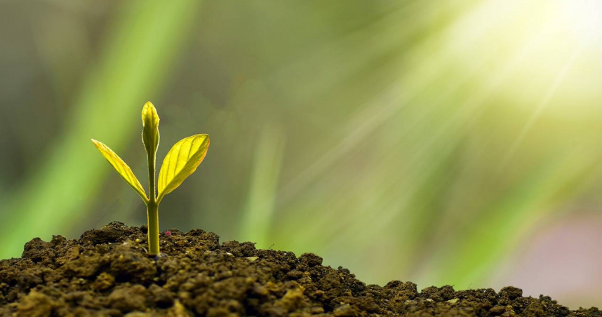 塔羅牌老師艾菲爾點名4個星座，2025年是突破極限、邁向新高的關鍵年份。（示意圖／Pixabay）