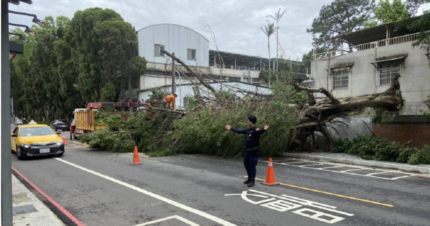 桃園凌晨狂風暴雨釀災路樹倒塌壓機車。（圖／翻攝畫面）