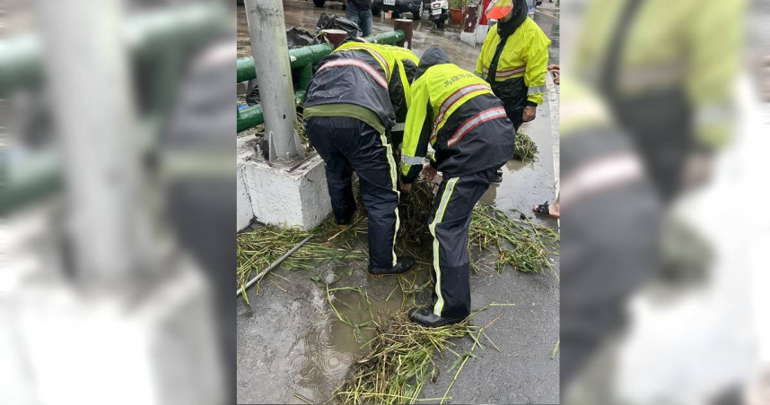 環保局說明，該路段每2周清一次，而6月13日清潔隊獲報清疏，清出600公斤雜草。（圖／環保局提供）