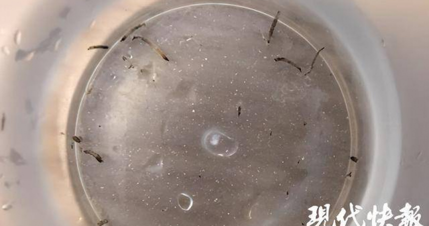 （圖／翻攝自微博）