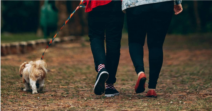 （示意圖／翻攝自pexels）