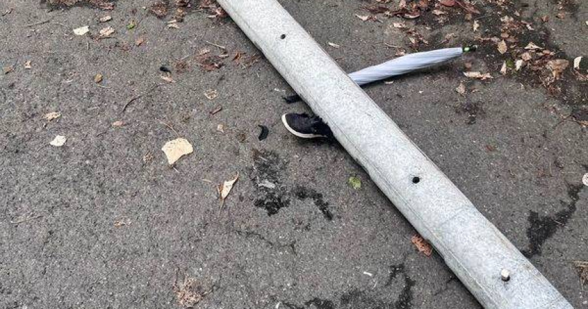 彰化藤山步道驚傳倒桿砸人骨折送醫。（圖／翻攝畫面）