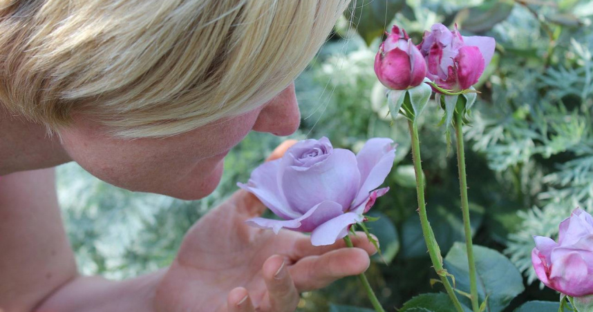 嗅覺突然失靈超過2周沒恢復，有可能是失智症的前兆。（示意圖／pixabay）