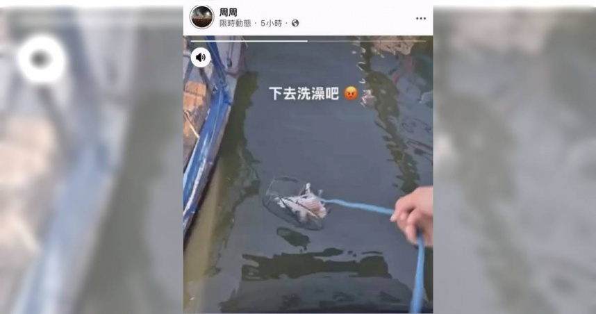 漁船裡虐貓畫面在網路流傳，引起民眾憤怒。（圖／林慶祥翻攝）