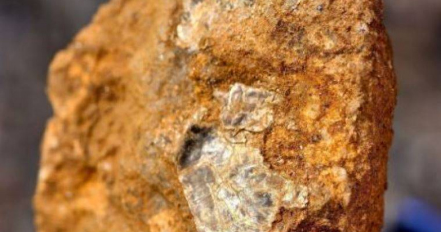 一名年僅8歲的小學生在山中挖野菜時，憑藉觀察與所學知識，懷疑當地可能存在金礦。（圖／翻攝自微博）