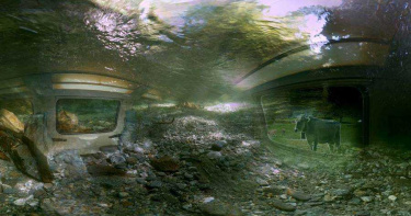 山難彌留閃現回憶 北影「VR全浸界」帶觀眾體驗人生跑馬燈