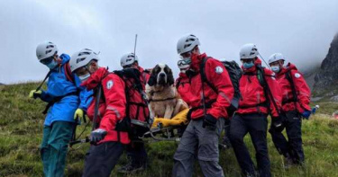 55公斤聖伯納犬受困英格蘭最高峰 16救難隊員花5小時扛下山