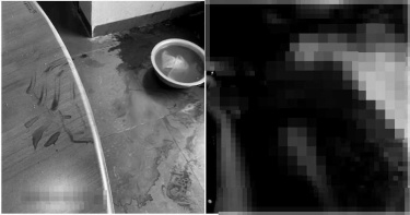 鐵鎚狂砸2死1重傷!前科男「刀刺喉嚨」血水噴一灘 女兒痛哭:報警2次沒人理