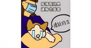 倒楣狗被指是「武漢肺炎源頭」!人狗互傳 調查局:假的,已約談網友