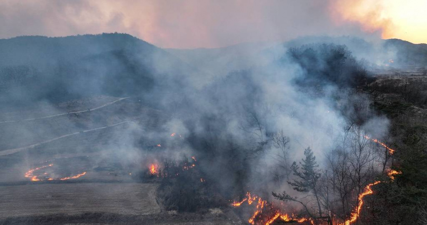 南韓慶尚北道（경북）義城（의성）山火情形。（圖／達志／美聯社）
