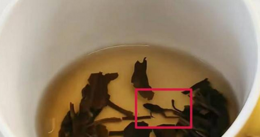 中國有網友喝「奈雪的茶」，發現裡面有青蛙的屍體。（圖／翻攝自微博）