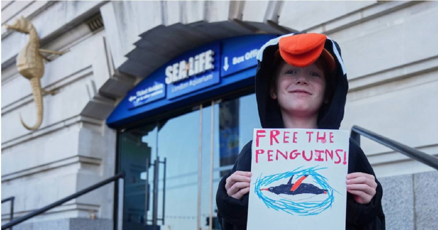 抗議者在倫敦水族館外的抗議活動中，呼籲釋放被關押在水族館地下室的15隻巴布亞企鵝。（圖／達志／美聯社）