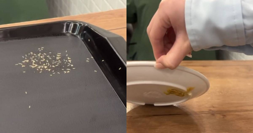 有民眾到「世界豆漿大王」吃東西，卻發現盤子底下出現大量白色蛆蟲。（圖／翻攝自Threads／@yixin4747）