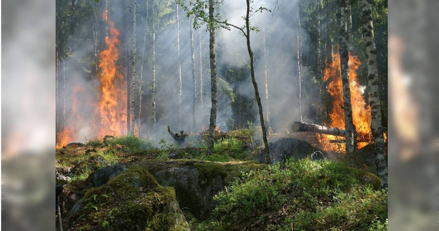 日本岩手縣、愛媛縣、岡山縣等地區最近爆發火災，造成大面積林地焚毀。（示意圖／Pixabay）
