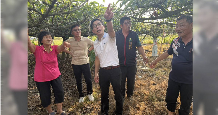 立委鍾佳濱與高樹鄉農會總幹事洪銘聰等人前往會勘受氣候異常影響的酪梨果樹。（圖／鍾佳濱辦公室提供）
