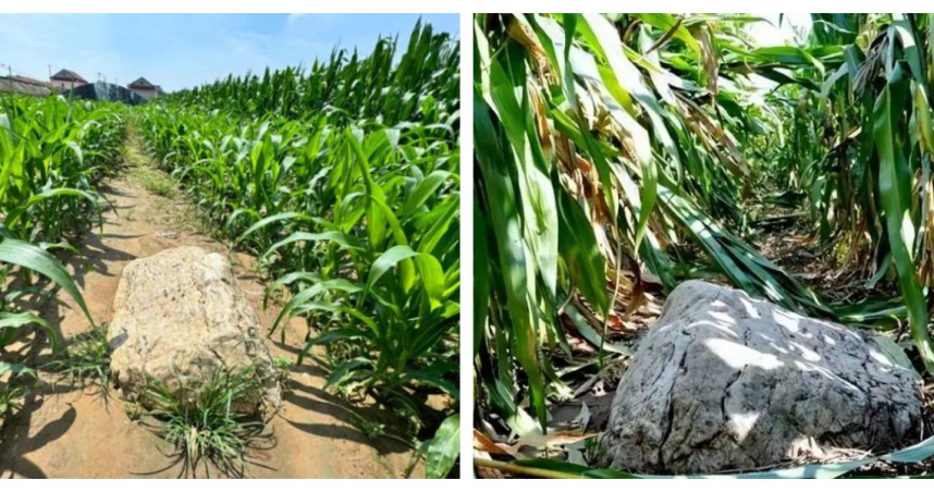 壽光「靜山」外觀僅高0.6公尺，頂部面積不足1平方公尺，引發是否為山的爭議。（圖／翻攝自都市快報橙柿互動）