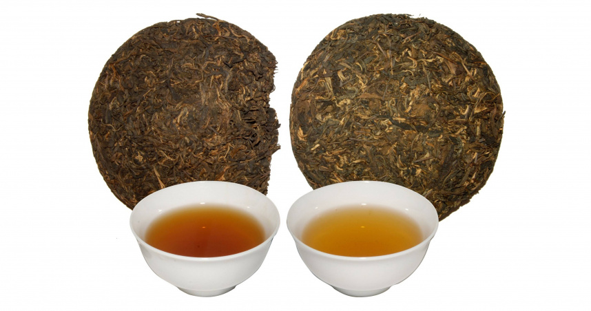 同年份的普洱生茶，入倉（左）與不入倉（右）存放五年後的表現全然不同。（圖╱吳德亮攝）