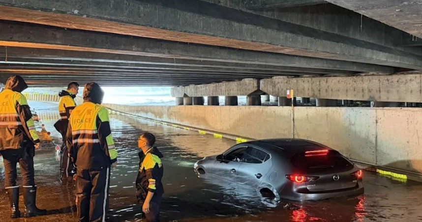 颱風薔琵豪雨淹桃園涵洞！女駕駛攜愛犬受困車內　警涉水接力救出