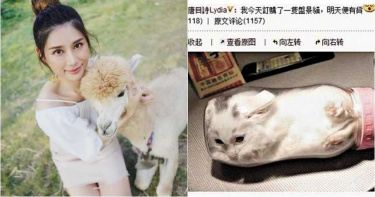 把貓塞進奶瓶還拍照上傳炫「盆景貓」 女星虐行被轟翻:超無腦!