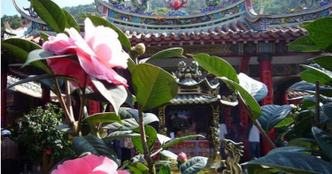 百年清水岩寺抽國運籤 詩云「且看前途得好音」