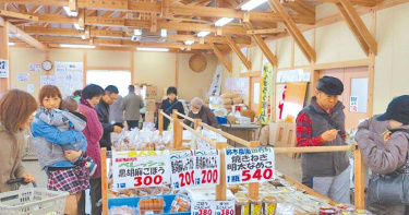禁止輸入台灣逾10年的日本福島核災區食品，行政院今將宣布解禁。圖為福島縣郡山市農產品直銷中心「新鮮蔬菜」，引進4部輻射檢測儀器，檢測無超標的蔬果才能上架，檢測人員表示可安心買來吃。 （圖／中央社）