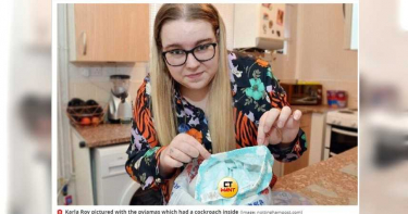 蟑螂屍體、卵蛋包覆睡衣中!女兒生日禮超「驚」喜