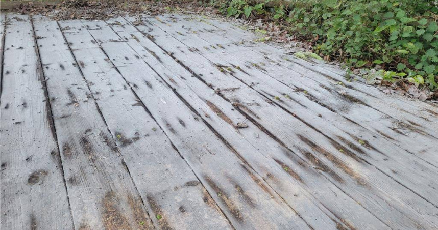 家住苗栗縣南庄場鹿場部落的苗栗縣議員楊文昌也在臉書貼文展示，鹿場山區13日清晨，屋外地板上已出現結霜現象。（圖／縣議員楊文昌提供）