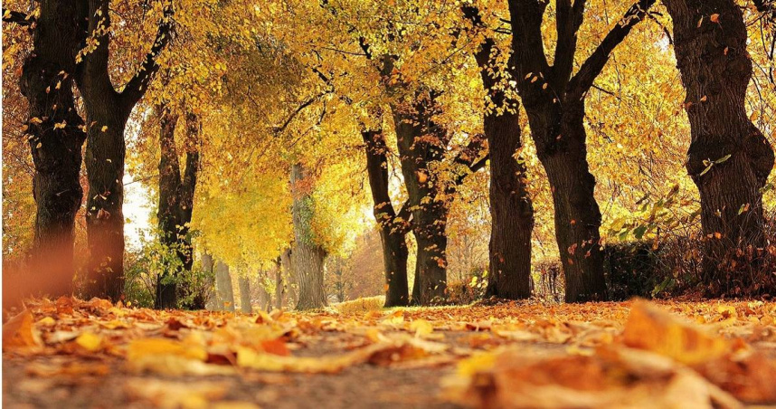 前氣象局長鄭明典指出，本週末有一波東北季風南下，屆時北部、東部有望感受到明顯降溫。（圖／翻攝Pixabay）