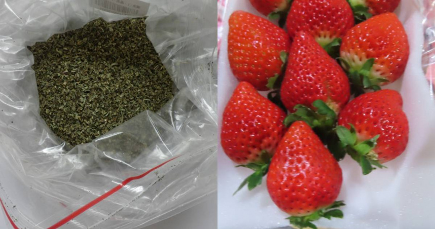 進口羅勒葉、鮮草莓經查驗不符規定，將全數退運或銷毀。（圖／食藥署）