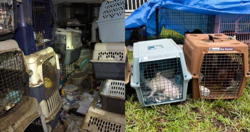 受困在屋內的毛孩被警方和救援協會的人員救出。（圖／翻攝X）