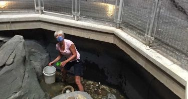 疫情讓水族館沒生意 竟挖400公斤「遊客的希望」應急