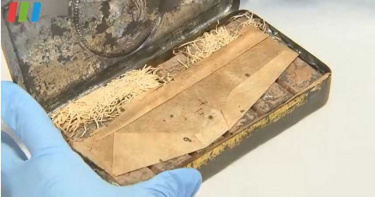 「120年前巧克力」現世! 發現者:看起來還很好吃