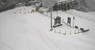 寒流來襲「合歡山白雪覆蓋一片」 網:平日休假的可以衝了