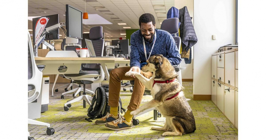 響應國際寵物日，法國皇家提倡兩大照護關鍵，守護寵物與飼主之間從幼年至終老（圖／法國皇家提供）。