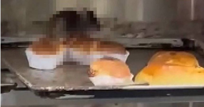 新北市三重區一家老牌麵包店傳出食安危機！有民眾近日前往該麵包店消費時，赫然驚見一隻老鼠在當「麵包小偷」。（圖／三立新聞網提供）