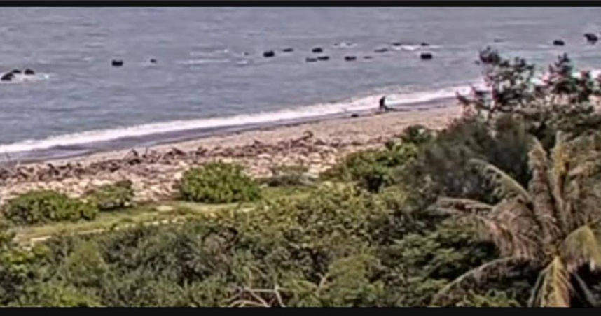 花蓮太平洋公園傳出有酒店妹被框出場，卻遭恩客壓頭、毆打致死。（圖／翻攝畫面）