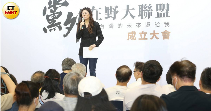 民進黨發言人吳崢說,「在野大聯盟」這個團體亦是配合統戰對大罷免進行攻擊。(圖/黃鵬杰攝)