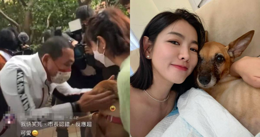 米可白愛犬不敵胃癌病逝。（圖／翻攝自臉書＠mimi00419）