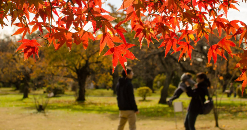 塔羅牌老師艾菲爾表示，2025年底前有4個生肖的人家運興旺。（示意圖／photoAC）